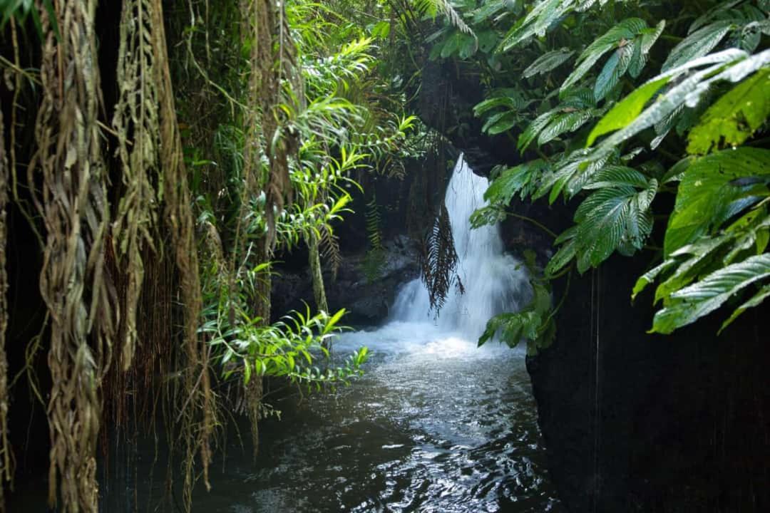 Dira Bungalows Tetebatu Exteriör bild