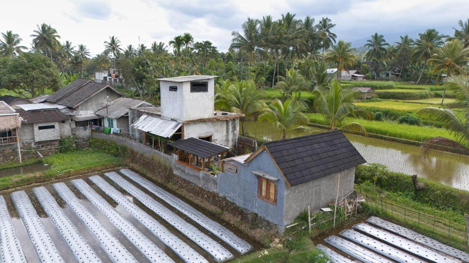 Dira Bungalows Tetebatu Rum bild