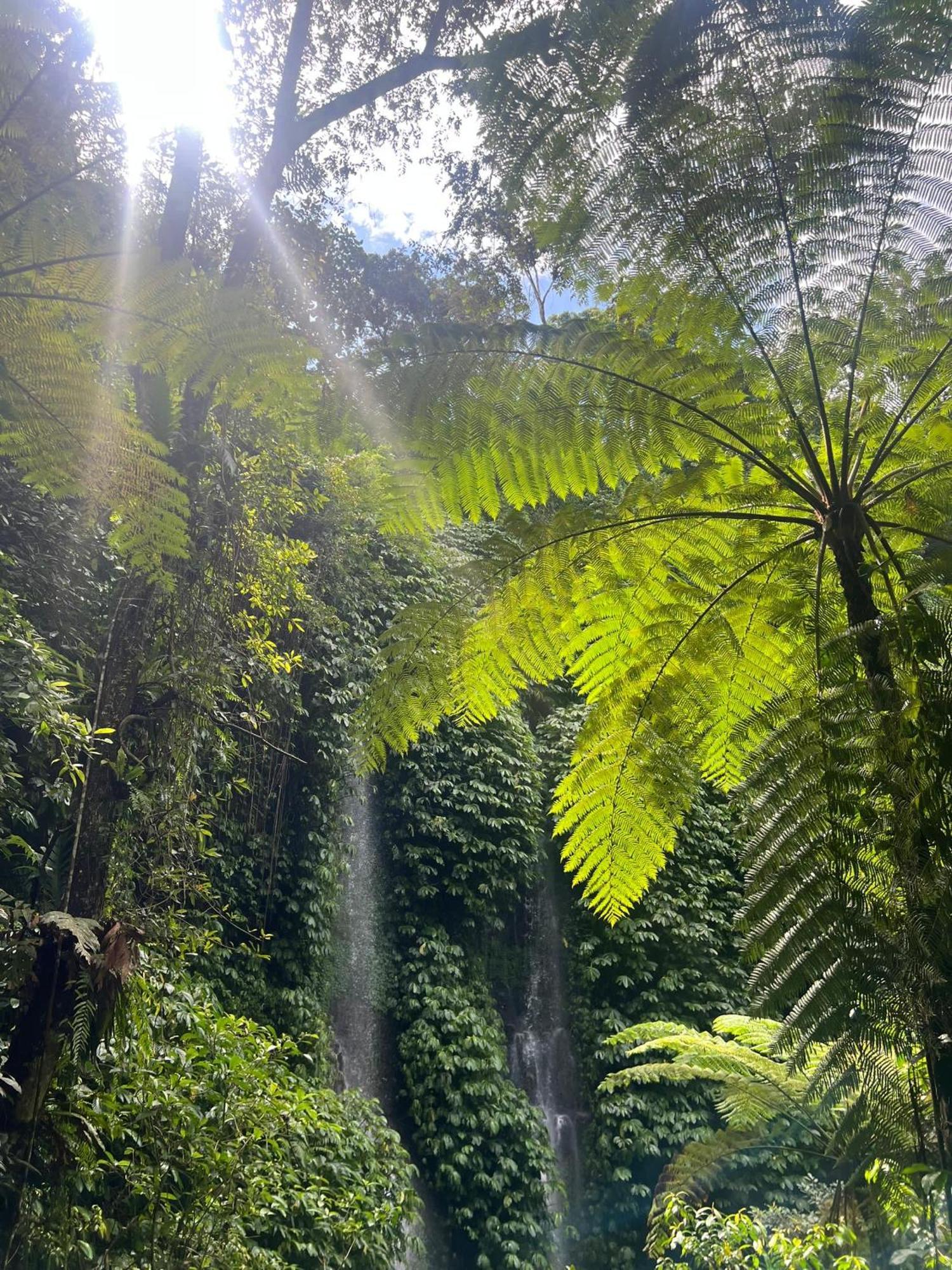 Dira Bungalows Tetebatu Exteriör bild